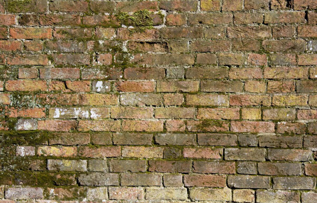 Green coating on a brick wall