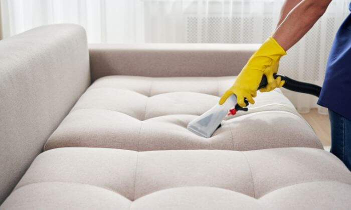Professional cleaning of upholstered furniture