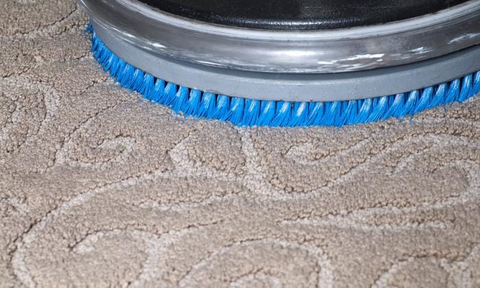 Shampooing the carpet with a scrubber