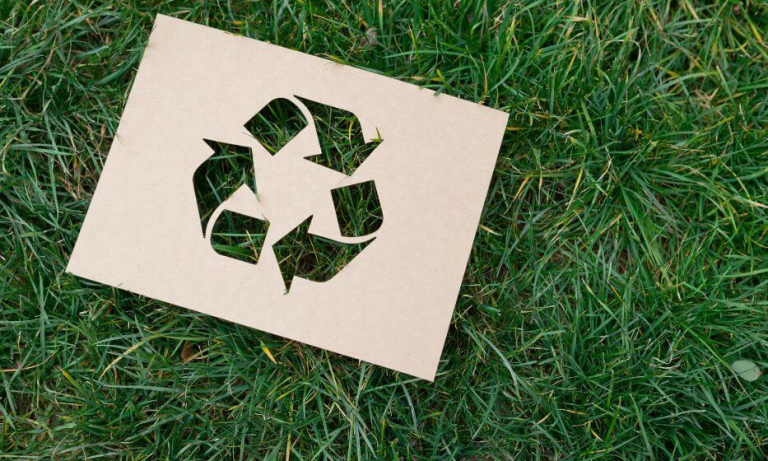 
Розділення сміття – що робити, щоб переробка стала ефективною?					